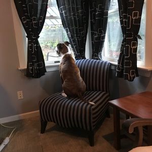 Meet your Posher, Paul